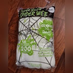 🕸️ Glow in the Dark Spiderweb 🕸️